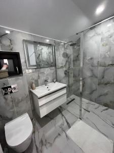 e bagno con lavandino, servizi igienici e doccia. di Gold Tag Apartament a Timişoara