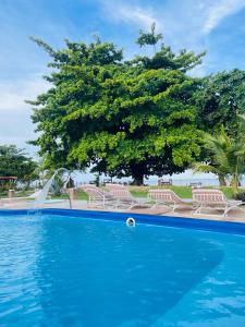 ein blauer Pool mit Stühlen und einem Baum in der Unterkunft Pousada Tatiba in Morro de São Paulo