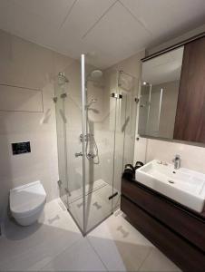 布拉提斯拉瓦的住宿－Apartmán v Starom meste Sky Park s parkovaním，带淋浴、卫生间和盥洗盆的浴室