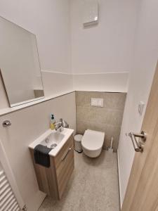 La petite salle de bains est pourvue de toilettes et d'un lavabo. dans l'établissement VIA Apartmany, à Trenčín