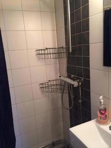 uma casa de banho com um chuveiro, um lavatório e um WC. em Lilla Gäststugan em Uppsala