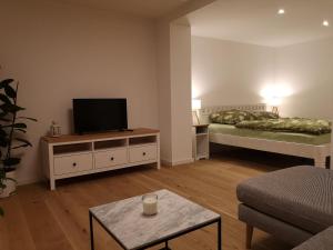 a living room with a bed and a television at Modernes und helles Apartment im Loft Stil in Heidelberg