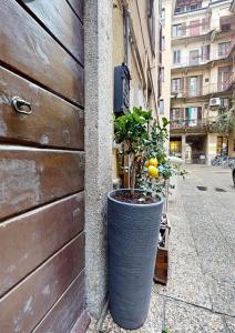 una planta en una gran olla al lado de un edificio en La Casetta in colonne, en Milán