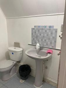 een witte badkamer met een toilet en een wastafel bij hospedaje 12 de octubre in Coihaique