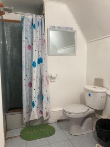 a bathroom with a toilet and a shower curtain at hospedaje 12 de octubre in Coihaique