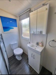 a white bathroom with a toilet and a sink at Seven Sunsets, Padstow in Padstow