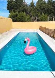 un cisne rosa flotante en una piscina en Villa Rubio Vega, en Chiclana de la Frontera