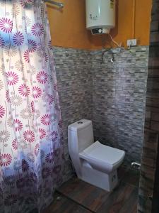 a bathroom with a toilet and a shower curtain at Zen homestay in Ravangla