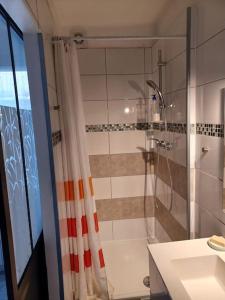 a bathroom with a shower and a sink at Studio neuf confortable à 10 min à pied de la gare in Nîmes