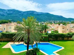a palm tree sitting next to a swimming pool at Hoteltype Penthouse 2 Beds, Parking, WIFI & pool Stunning Views in Denia