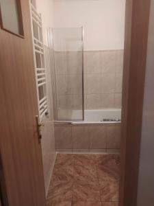een badkamer met een douche en een glazen deur bij Apartament Bulevardul Oltenia in Craiova