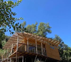 a house with a roof that is surrounded by trees at Pobeda del Valle-desconexión-piscina -sauna- 5pax in Guayacán