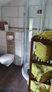 uma casa de banho com um WC e uma cabina de duche em vidro. em Ferienhaus Ulla em Reit im Winkl