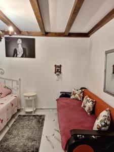 Χώρος καθιστικού στο Apartament ELVIRA Băile Herculane