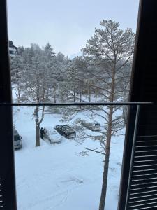 Apartman Borovi 11 Divčibare взимку