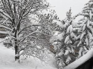 Serre Chevalier Studio 30 m2 coin montagne à 8 Minutes des Pistes v zime