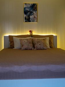 a bedroom with a large bed with two pillows at Apartament Classic Comfort Aleja NMP 8 - Free parking in Częstochowa