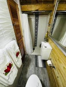 a small bathroom with a toilet and a sink at PARAISOS DE GABRIELA in Villalba