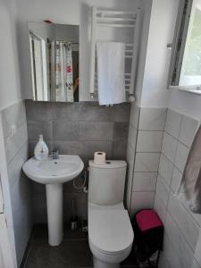 małą łazienkę z toaletą i umywalką w obiekcie ApartHotel Oltului w mieście Gałacz