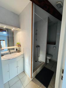 uma casa de banho com um lavatório, um chuveiro e um WC. em Studios à Valence, Drôme em Valence
