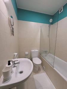een badkamer met een wastafel, een toilet en een douche bij Charme Lisboeta in Lissabon