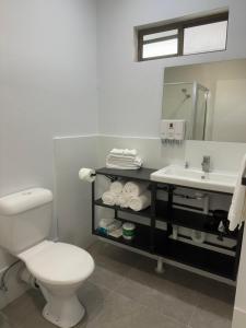 La salle de bains est pourvue de toilettes blanches et d'un lavabo. dans l'établissement Longreach Motor Inn, à Longreach