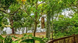 a tree with a light hanging from it next to a fence at Brunswick Riverfront Apartment - Absolute Riverfront in Brunswick Heads