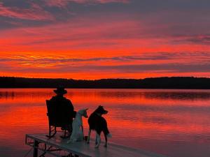 a man and a dog sitting on a dock with the sunset at Island Tent Overlook in Maine in Monmouth