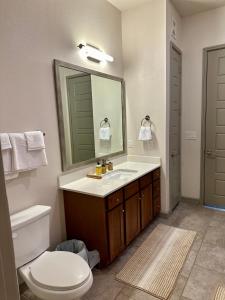 a bathroom with a toilet and a sink and a mirror at Downtown Houston Cozy Queen Suite in Houston