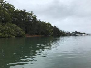 a large body of water with trees on the shore at Waterfront Accomodation with Jetty, Port Stephens in Lemon Tree Passage
