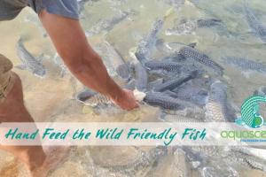 Fotografie z fotogalerie ubytování Zen Marina: 1-BR Executive Apartment By The Bay v destinaci Larrakeyah