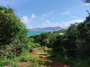 a dirt road with trees and the ocean in the background at Chalé da Val in Palhoça
