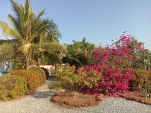 un giardino con fiori rosa e palme di Bungalow 36 m2 sur terrain 400m2 avec Piscine privée a 12km de BAN DUNG a Ban Dung