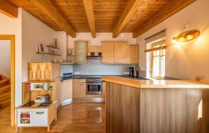 a kitchen with wooden cabinets and a counter top at Nice Home In Gssing With Wifi in Güssing