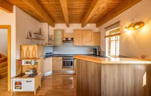 Kuchyň nebo kuchyňský kout v ubytování Ferienhaus In Guessing