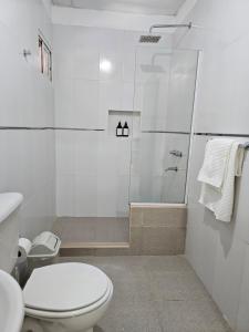 a white bathroom with a toilet and a shower at Pringles Dpto Temporario 2 in Formosa