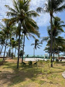 a park with palm trees and a beach at Naluum Milagres in Passo de Camarajibe