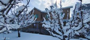 Countryside Cottage Gulmarg - Home Stay v zimě