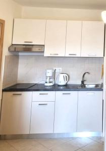 Kuchyň nebo kuchyňský kout v ubytování Villa Dijana