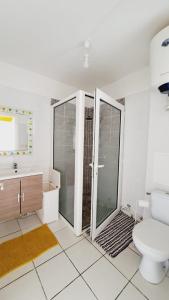 ein Badezimmer mit Dusche, Toilette und Waschbecken in der Unterkunft La Fleur des Caraïbes in Saint-Claude