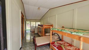 Pokój z kilkoma łóżkami piętrowymi w obiekcie Hospedajes Richie Eco Camp w mieście Providencia