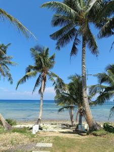 een groep palmbomen op het strand bij Villa Malinao Oceanview Resort- Superior Bungalow in Burgos