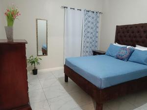 a bedroom with a bed and a dresser and a mirror at Lovely 2 BedRoom c̅ Netflix across National Stadium Kingston in Kingston