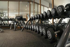 a row of rows of dumbbells in a gym at SN Residences in Vientiane