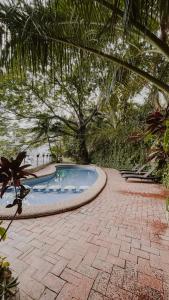 una piscina en un jardín con palmeras en Las Haditas, en Chiapa de Corzo