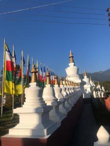 a row of flags on top of a building with a mountain at Rana's House, Mcleodganj in McLeod Ganj