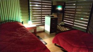 ein Schlafzimmer mit 2 Betten und einem TV in der Unterkunft Hotel Aurora in Coronel