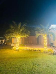 two palm trees with lights in a yard at night at Banke bihari farm in Noida
