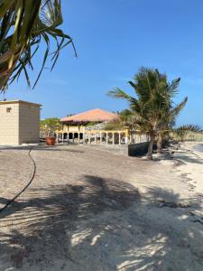 a house with a palm tree and a building at the beach house in Al Marfaʼ