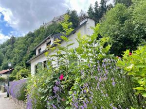 einen Garten mit lila Blumen vor einem Gebäude in der Unterkunft Godi's House in Vianden